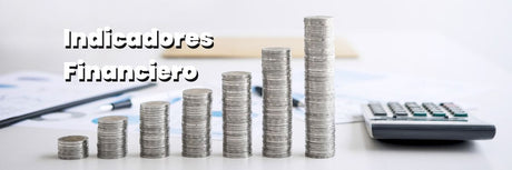 Indicadores Financiero: El Éxito de una Empresa - G-Talent.Net