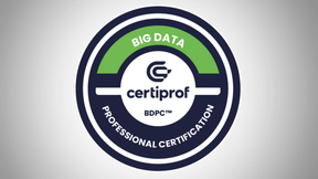 Certificación Big Data Professional Certificate BDPC - G - Talent.Net
