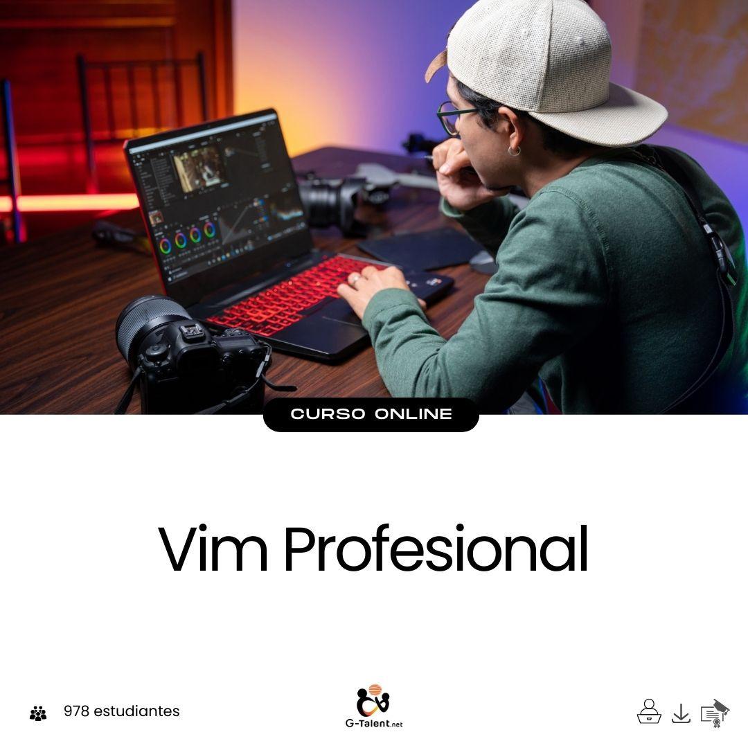 Vim Profesional - G - Talent.Net